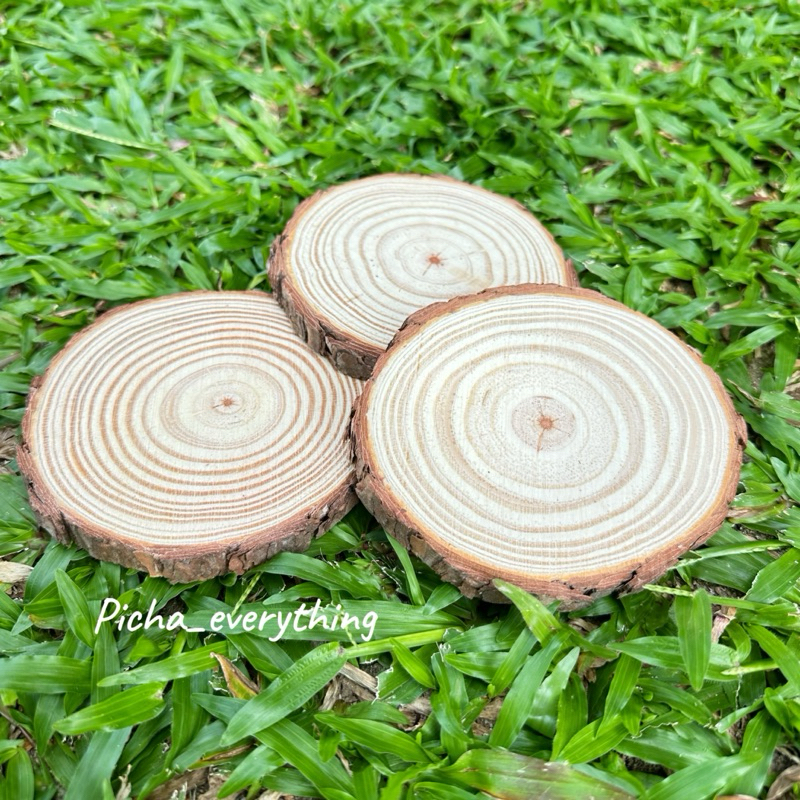 [พร้อมส่ง] ไม้ปลอมใช้ถ่ายรูปตกแต่ง