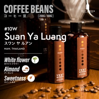 เมล็ดกาแฟคั่ว #10-W Suan Ya Luang น่าน By Y'EST WORKS [Coffe…