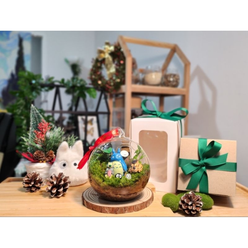 สวนขวด terrarium ทรงกลมใสคลาสสิค ของขวัญ