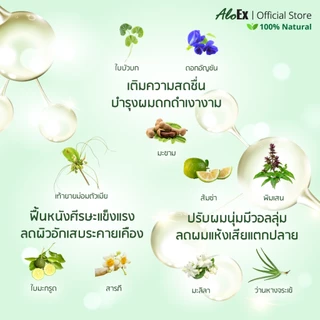 AloEx Organic Extra Mild Shampoo แชมพูลดผมร่วง สร้างผมใหม่ สูตรอ่อนโยน สำหรับผิวแพ้ง่าย