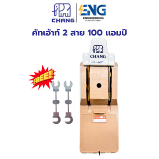 CHANG คัทเอ้าท์ 2P 100A