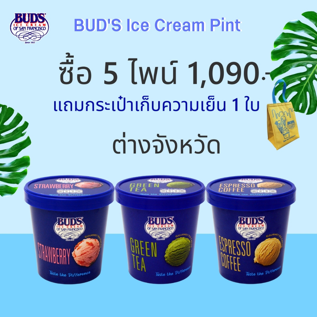 Set 5 ไพน์ ต่างจังหวัด เพียง 1,090 บาท แถมกระเป๋าเก็บความเย็น 1 ใบ