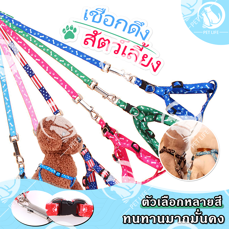 PET LIFE เชือกดึงสัตว์เลี้ยง สายจูงสัตว์เลี้ยง สายรัดหน้าอกพิมพ์ลาย ชุดสายจูงสุนัข โซ่แมว เชือกสุนัข
