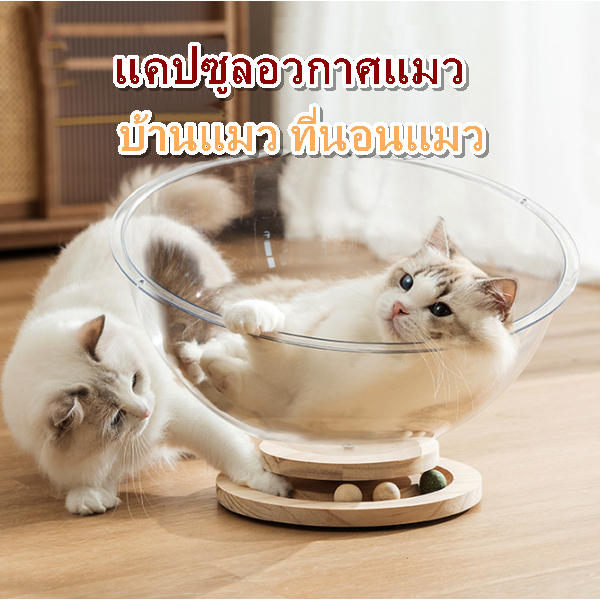 YY แคปซูลอวกาศแมว รังแมว บ้านแมว ที่นอนแมว 2 ขนาด cat