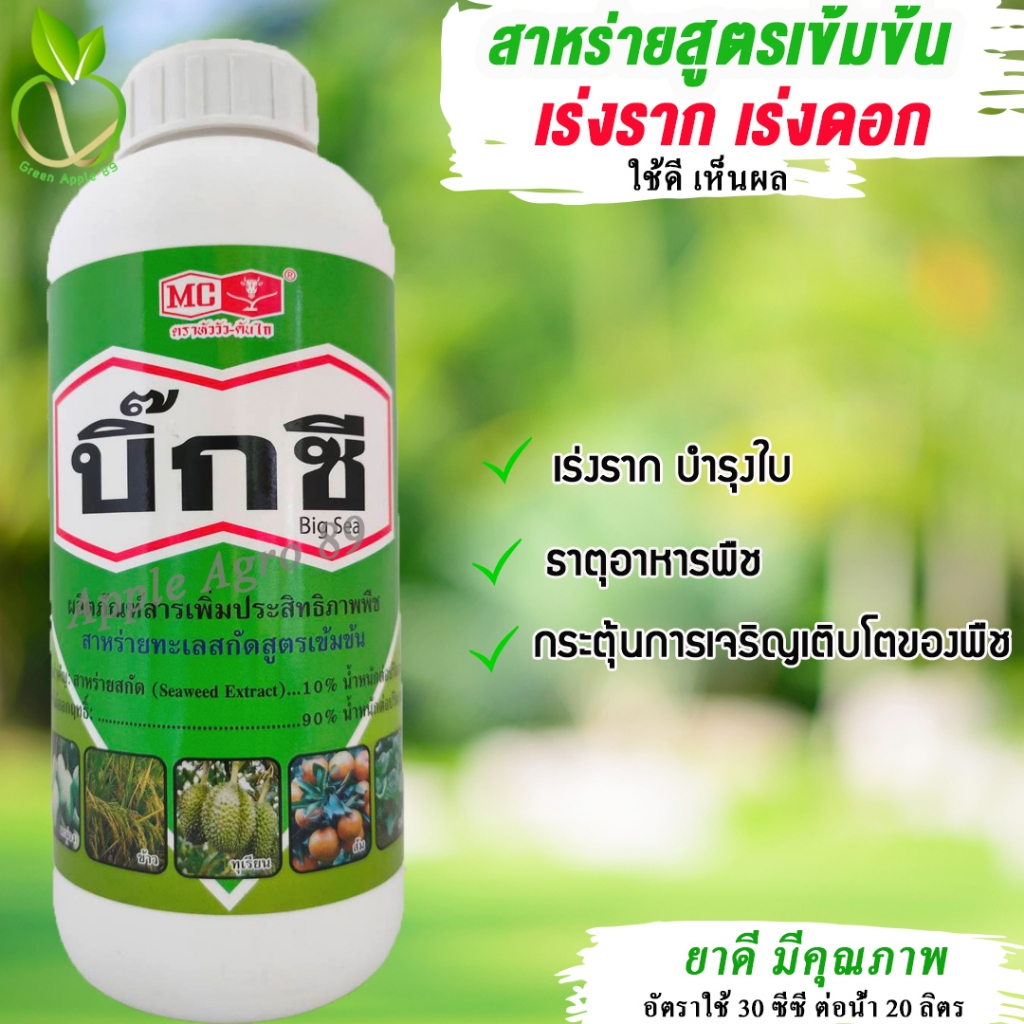 บิ๊กซี สาหร่ายสกัด (หัววัวคันไถ) ขนาด 1 ลิตร สาหร่ายเร่งราก ยาเร่งรากและใบ ยาเร่งรากปักชำ ยาเร่งรากเร่งดอก ยาเร่งรากพืช