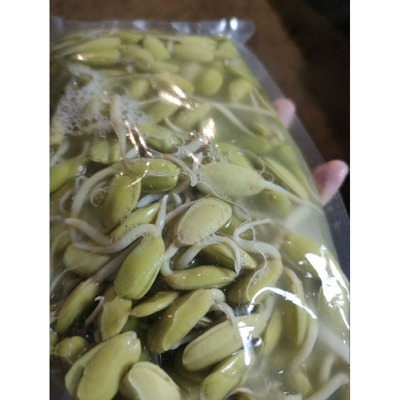 หน่อเหรียงดอง 300กรัมไม่รวมน้ำ