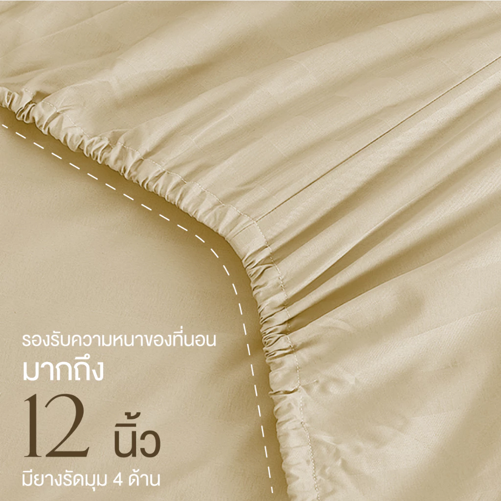 ibed ชุดผ้าปูที่นอนทอลายครบเซ็ท Softex Satin (ลายริ้ว) Butter Cream - STRIPED COLLECTION thumbnail 6