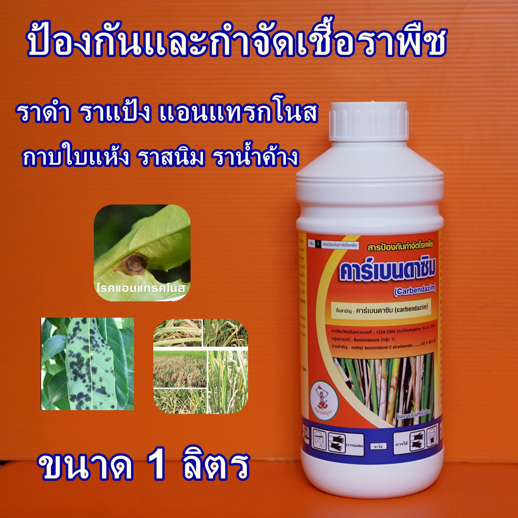 คาร์เบนดาซิม 50% #คาบานา คาร์เบนแพลนติ้ง**ยกลัง12ขวดแถมเสื้อ**กันเน่า ยาเขื้อรา ดูดซึม คาเบนน้ำ คาร์เบน #คาร์เบนหนุมาน