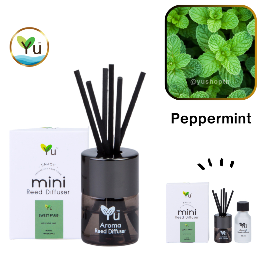 🌟 Mini Room Difuser 15 ml.🌟 กลิ่น Peppermint (เปปเปอร์มิ้นท์) กลิ่นหอมเย็นสดชื่นมาก ก้านไม้หอม