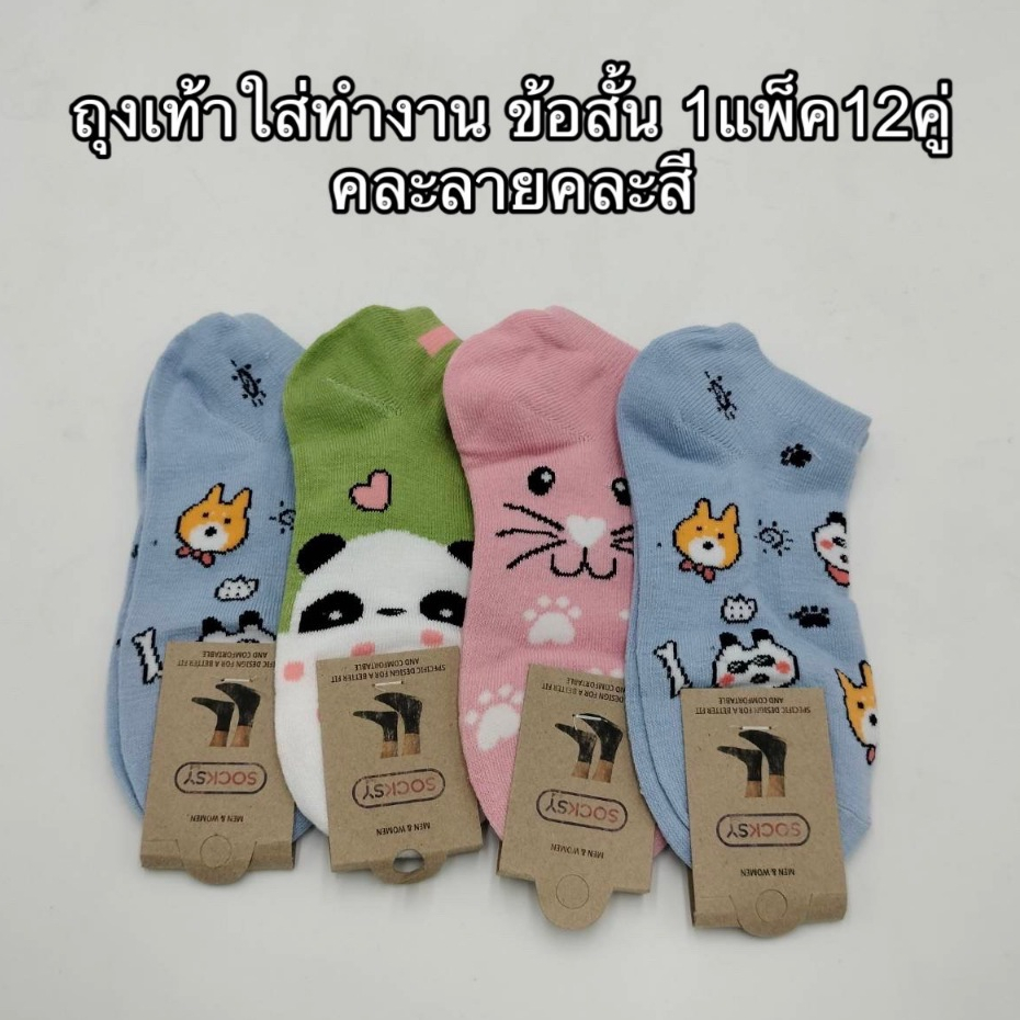 ถุงเท้าข้อสั้น ผู้หญิง ขนาดฟรีไซร์ ลายน่ารัก ทางร้านคละไปให้