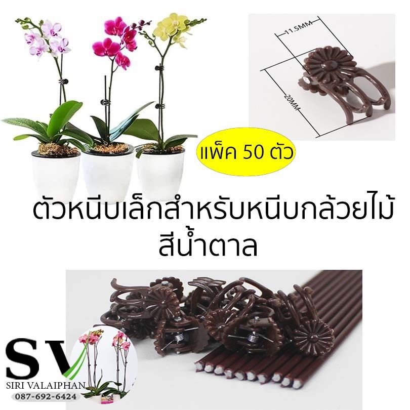 ตัวหนีบ คลิปหนีบกล้วยไม้ บรรจุ 50 ตัว พลาสติกหนีบต้นไม้เล็ก สำหรับหนีบลำต้นกล้วยไม้กับก้านค้ำ หรือหนีบอื่นๆ