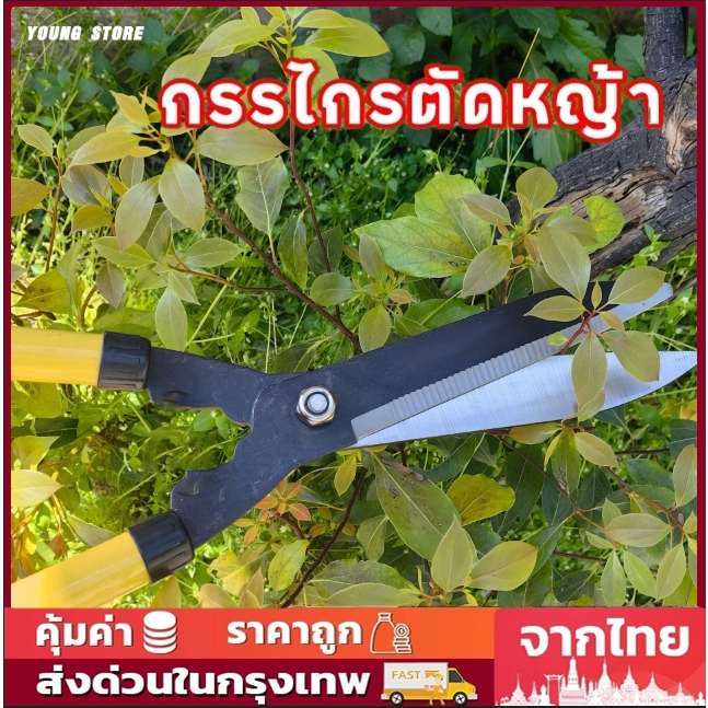 กรรไกรตัดแต่งกิ่ง กรรไกรตัดกิ่ง กรรไกรตัดหญ้า กิ่งด้ามยาว ด้ามปรับยาวได้ ยืดได้ แต่งกิ่งยาว ตัดหญ้ SK5