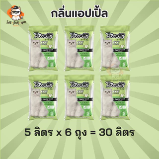 ทรายแมว Pettosan ทรายแมวเพ็ทโตะซัง ขนาด 5ลิตร x 6ถุง (30ลิตร)