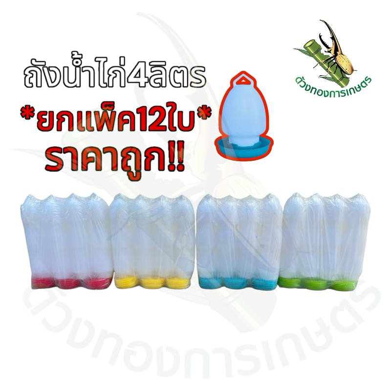 ถังน้ำไก่4ลิตร *ยกแพ็ค12ใบถูกว่าคละสีได้