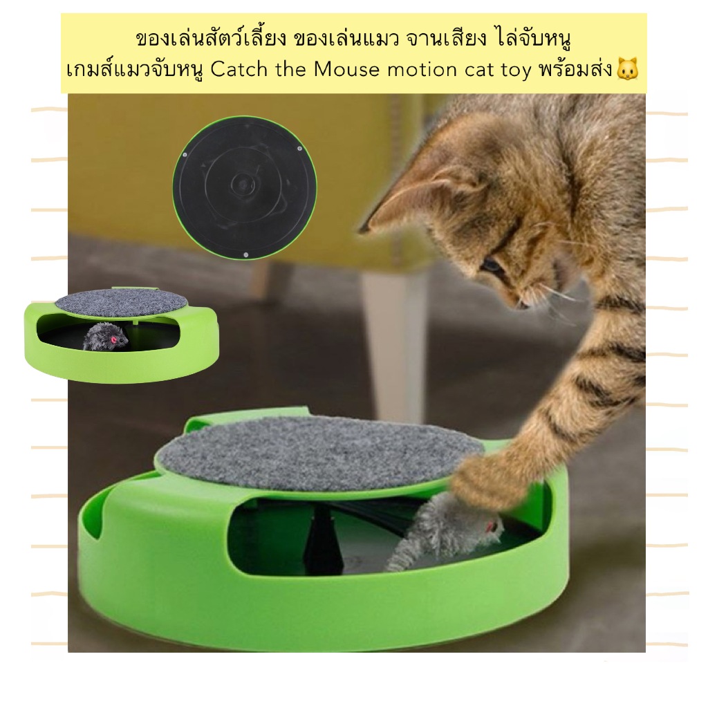 PP-1280 ของเล่นสัตว์เลี้ยง ของเล่นแมว จานเสียง ไล่จับหนู เกมส์แมวจับหนู Catch the Mouse motion cat toy พร้อมส่ง