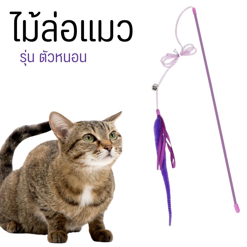 ไม้ตกแมว ของเล่นแมว ไม้แหย่แมว ของเล่นสัตว์เลี้ยง ไม้แมว หนอนหางยาวสีสันสดใส ของเล่นแมวสุดน่ารัก