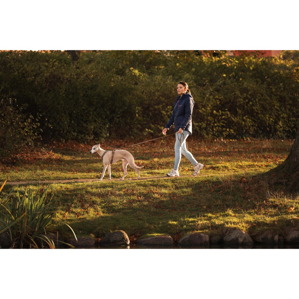 Non-stop dogwear Trail Quest Leash Rachel Pohl Edition สายจูงสุนัข รุ่นราเชล พอล - รูปที่ 4