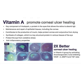 Ocluvita อาหารเสริมเพื่อบำรุงสายตาและดวงตา สำหรับสุนัขและแมว 30 เม็ด
