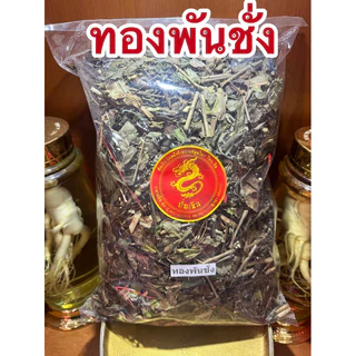 ทองพันชั่ง สมุนไพรทองพันชั่ง ทองพันชั่งแห้ง สมุนไพรพันชั่ง