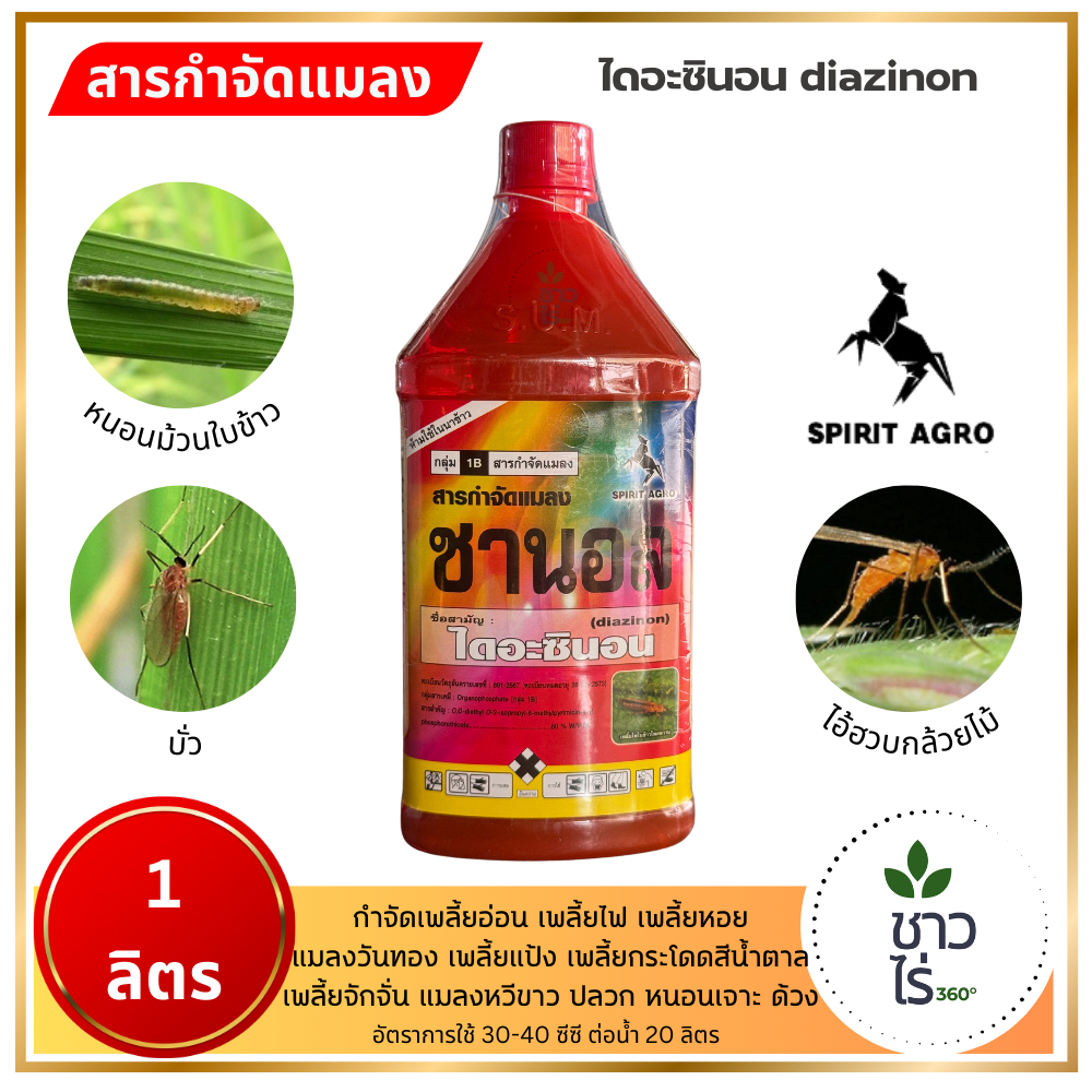 ชานอล 1 ลิตร ตราสปิริตอะโกร ไดอะซินอน diazinon เพลี้ยไฟ หนอนกอข้าว หนอนม้วนใบข้าว หนอนกระทู้ควายพระอินทร์ เจาะสมอฝ้าย