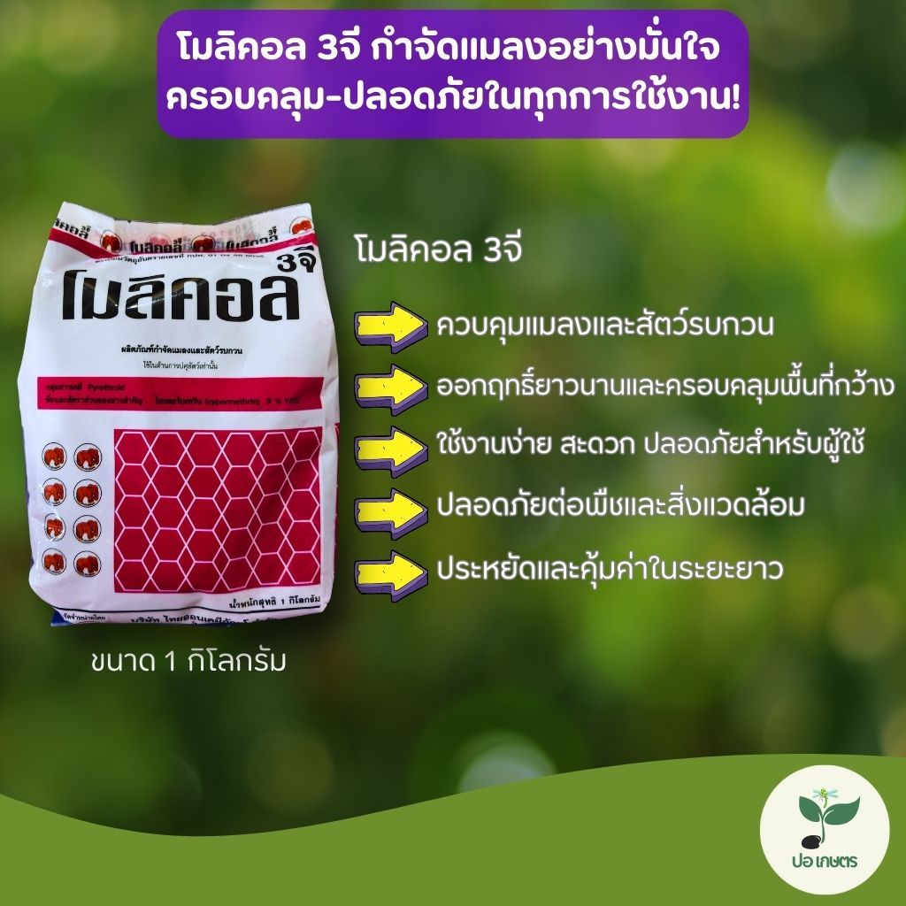 โมลิคอล 3 จี (1 กก.) [ไซเพอร์เมทริน] กำจัดแมลงสัตว์รบกวน ครอบคลุมพื้นที่กว้าง ประหยัด คุ้มค่า ปลอดภัย ประสิทธิภาพสูง