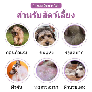 CROWN แชมพูสุนัข แชมพูแมว อาบน้ําแมว ป้องกันเห็บหมัด กลิ่นหอม สูตรอ่อนโยน สะอาด ดับกลิ่น 300ml
