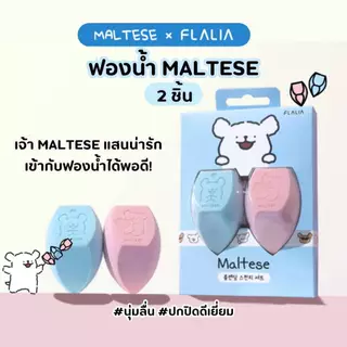 [พัฟ/แปรงแต่งหน้าเกาหลี] FLALIA x Maltese รวมพัฟ/คอลเลคชั่นอุปกรณ์แต่งหน้า