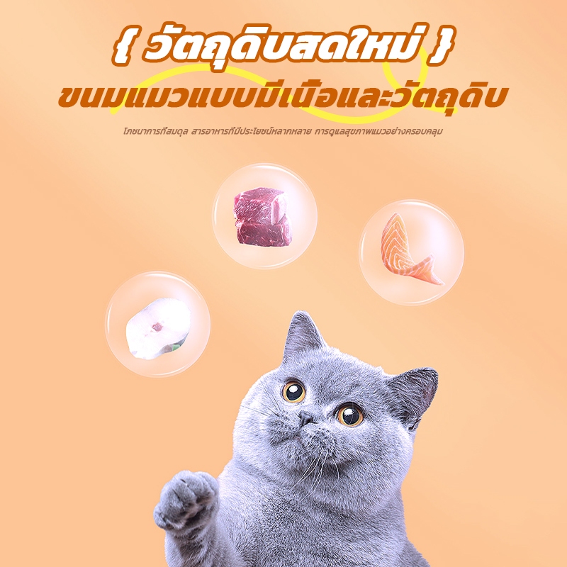 รูปภาพ 6