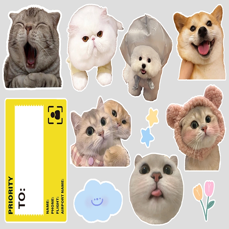 A4 สติ๊กเกอร์แจกฟรี 20/24