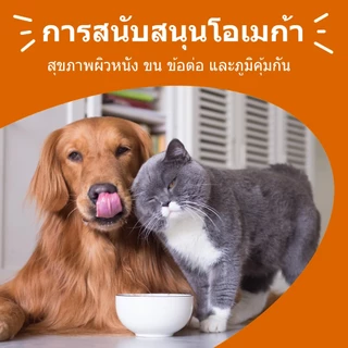 Popoo Salmon Oil น้ำมันปลาแซลมอนแท้100% แบบ สำหรับสัตว์เลี้ยง สุนัขและแมวขนาด 200 ml บำรุงขน ลดการร่วง ช่วยเจริญอาหาร