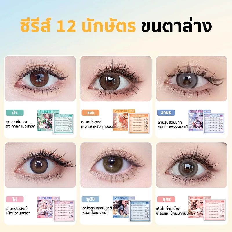 ซีรีส์ 12 นักษัตร ขนตาปลอม 3D ไม่ต้องใช้กาว มีกาวในตัว ขยายตา ติดทน ใช้ซ้ำได้ เหมาะสำหรับมือใหม่ 30/36 ช่อ/กล่อง thumbnail 4