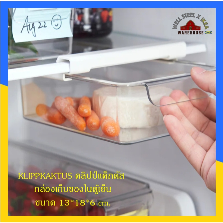 KLIPPKAKTUS คลิปป์แค็กตัส กล่องเก็บของในตู้เย็น