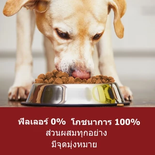 Popoo Aller-Immune Bites for Dogs Seasonal Allergies ขนมสุนัข อาหารเสริมสุนัข ผิวหนังและขน เสริมสร้างภูมิคุ้มกัน 120ชิ้น