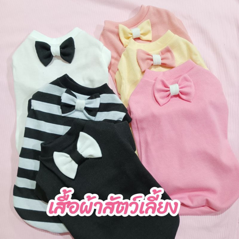 เสื้อแมว เสื้อยืดผ้าร่อง แต่งโบว์น่ารัก ไซส์ S-XXL เย็บเองขายเอง เสื้อผ้าสัตว์เลี้ยง