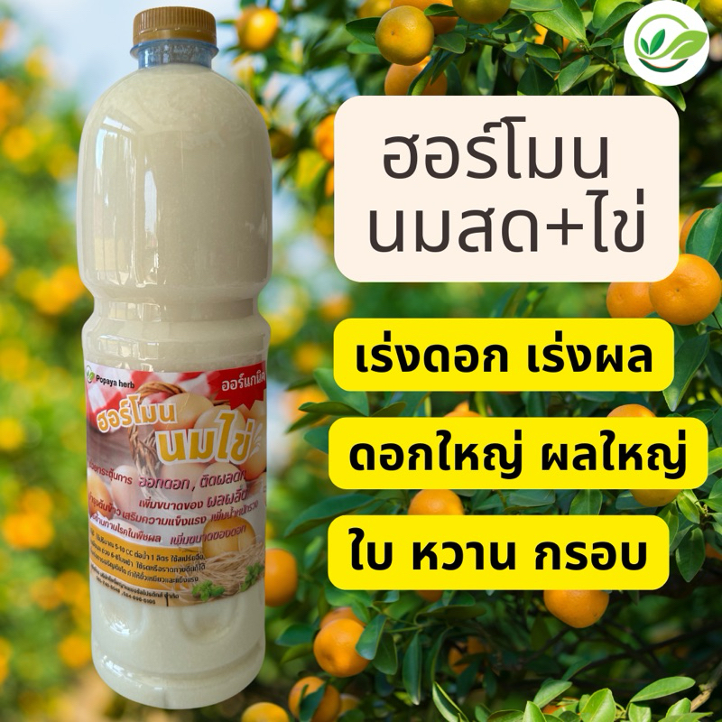 ฮอร์โมนนมสดไข่ ขนาด 1 ลิตร เร่งดอกใหญ่ผลใหญ่ ออแกนิก🌱