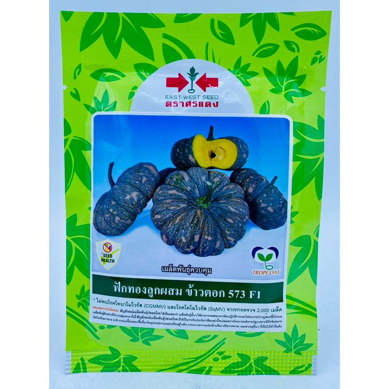 เมล็ดพันธุ์ ฟักทอง ลายข้าวตอก เมล็ดพันธุ์ฟักทองลูกผสม ลายข้าวตอก 573 ทิพย์ทอง ทองเอก เมล็ดฟักทอง ทองคำ บ.เจียไต๋ - รูปที่ 6