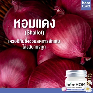 HomHom หอมหอม เทอรา เฮิร์บ บาล์ม 20 กรัม (ยูคาลิปตัส หอมแดง กลิ่นคาโมมายล์ โรสแมรี่)