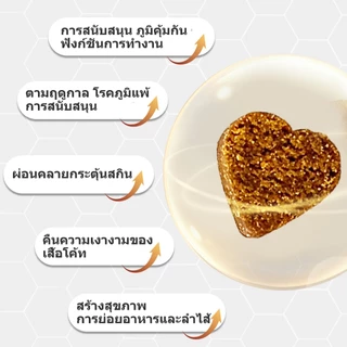 Popoo แพ็คสุดคุ้ม 2สูตร โปรไบโอติกสำหรับสุนัข และ Aller-Immune for Dogs ขนมสุนัข ช่วยระบบทางเดินอาหารและเสริมภูมิคุ้มกัน