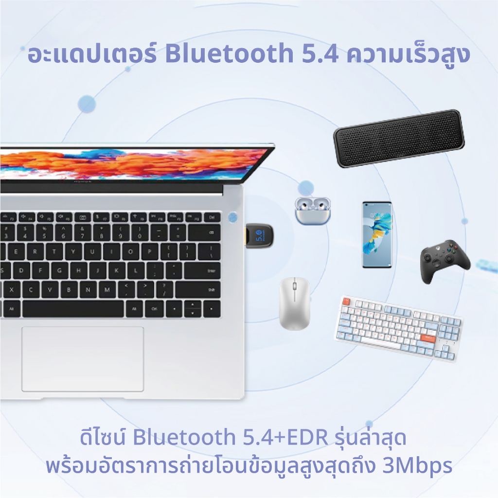 รูปภาพ 8