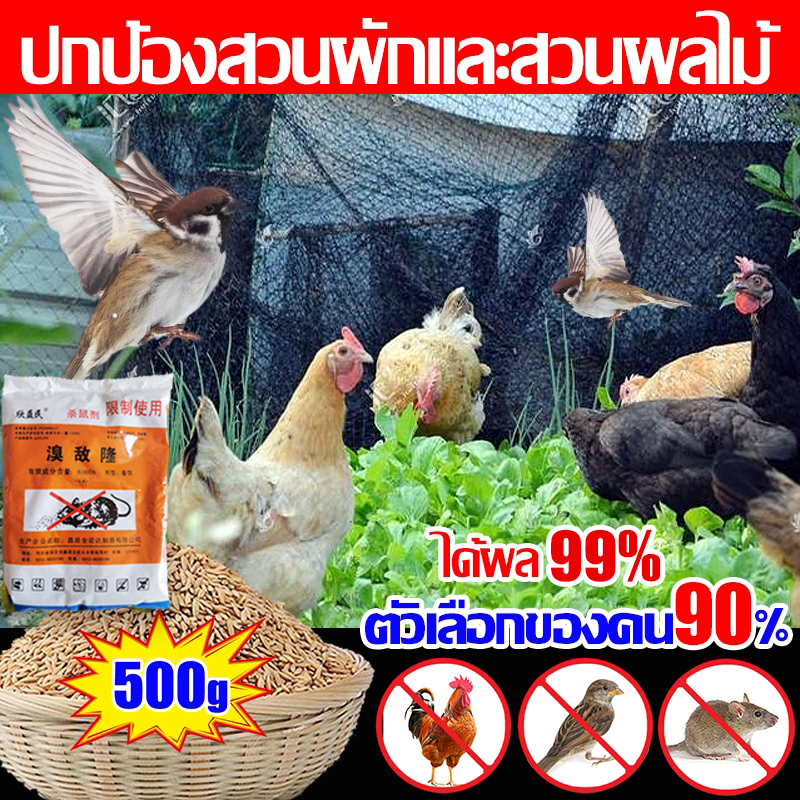 ได้ผล98% 3in1 ยาเบื่อไก่=ยาเบื่อ นกพิราบ=ยาเบื่อ หนู 500g ตัวเลือกของคน90% ปกป้องสวนผักและสวนผลไม้ บอกลาขี้นกที่สกปรก