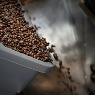 VECTOR : เมล็ดกาแฟคั่วเข้ม 1 กก (Dark roast) อราบิก้า 100% เกรดพรีเมี่ยม