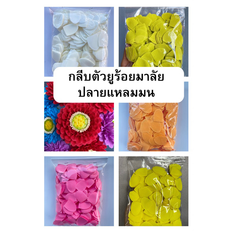 กลีบตัวยูร้อยมาลัย ปลายแหลมมน