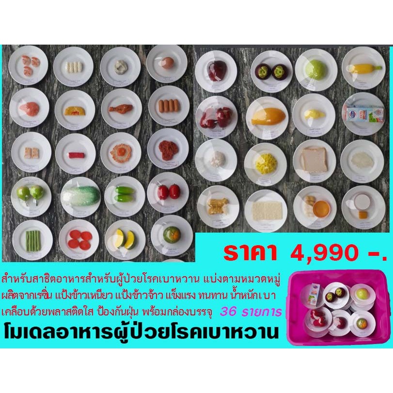 โมเดลอาหารผู้ป่วยโรคเบาหวาน 36 รายการ สำหรับสอน สาธิต อาหารผู้ป่วยโรคเบาหวาน โรคเรื้อรัง