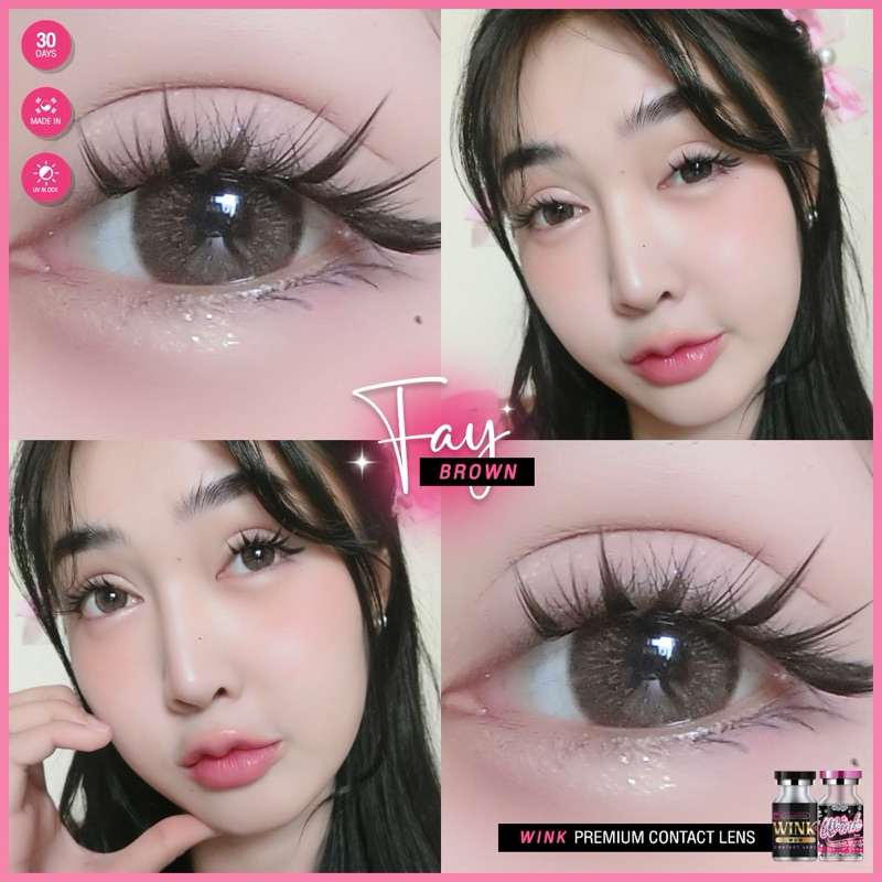 Bigeye 🖤🩷(winkwow ) คอนแทคเลนส์  สายตาปกติ🦄 Fay 🦄 Gray / Brown