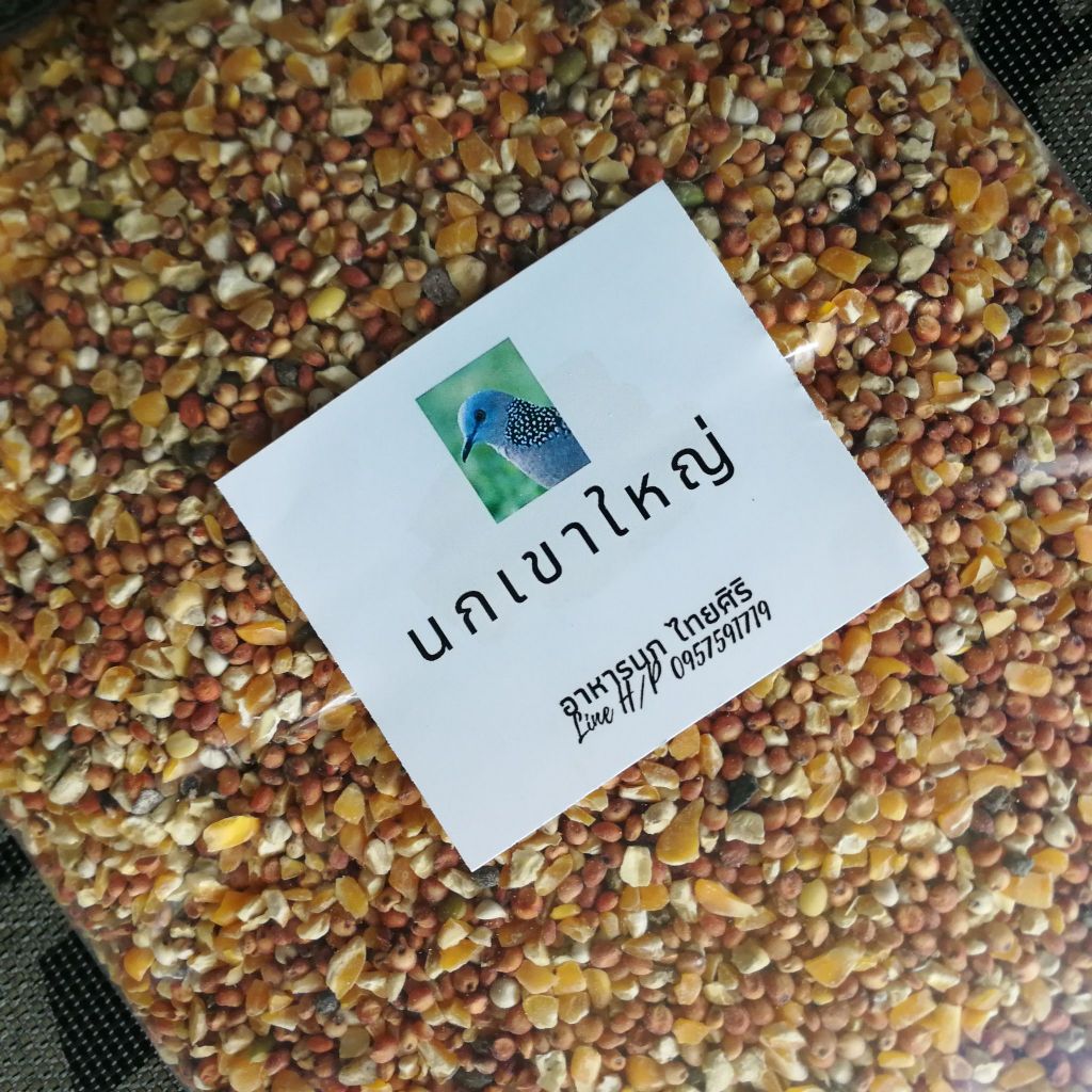 อาหารนกเขาใหญ่ 1 กิโลกรัม ถุงซีลสะอาด ปลอดภัย นกเขา นกอื่นๆ ก็กินได้ เม็ดโตพอดี สำหรับนกเขาใหญ่