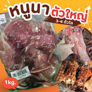 หนูนา แช่แข็ง (1kg.)🐭🐀⚡️ส่งด่วน **ตัวใหญ่  3-4 ตัวโล 🔥 ค่าส่…