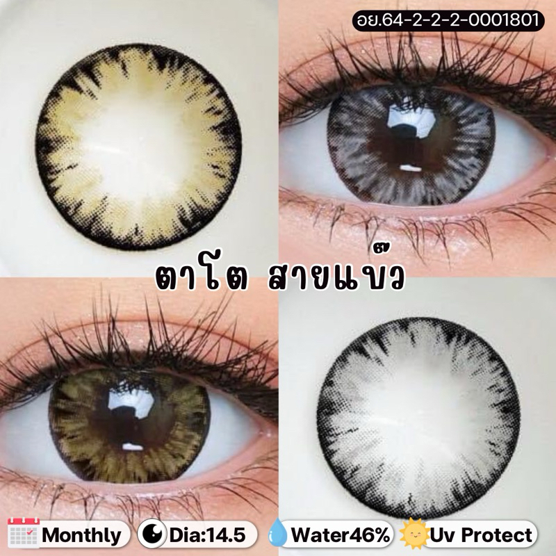สายตาปกติ คอนแทคเลนส์รายเดือน Omg