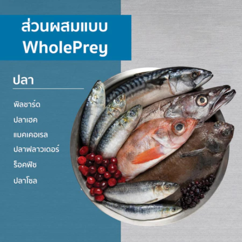 Orijen-SixFish สูตรเนื้อปลา 6 ชนิด อาหารสุนัข ขนาด 11.40 กก.{อาหารสุนัขเม็ด} - รูปที่ 2