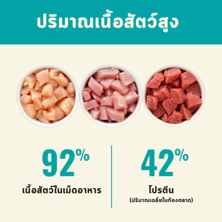 [LIVE] Bite of Wild อาหารแมวพรีเมี่ยม 1กก. ไก่และปลาน้ำลึก Kibbles 42% เนื้อสูง Grain-free, 5% แช่แข็งแห้ง. ลูกแมวที่เห
