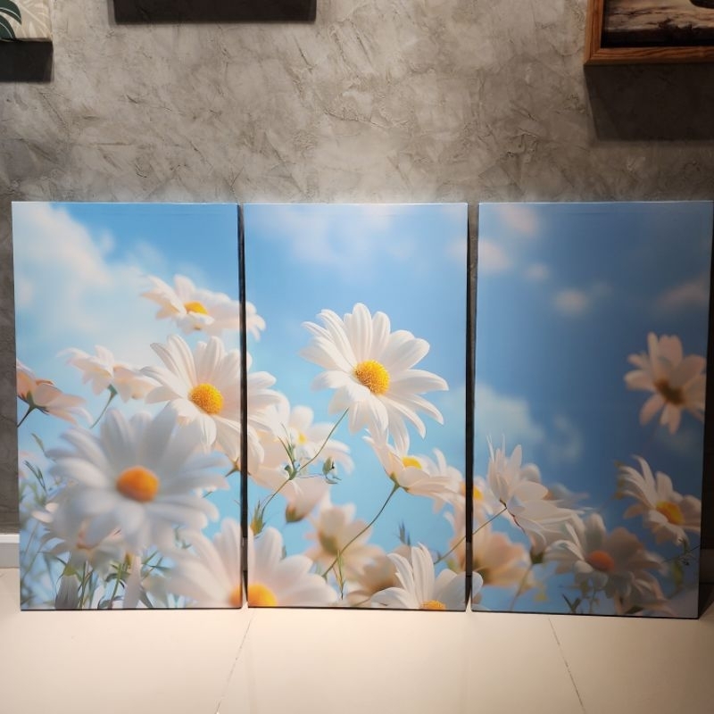 ดอกเดซี่ สีขาว 3 ภาพใน1 เซ็ท  กรอบรูปติดผนัง กรอบลอยแคนวาสมินิมอล  ตกแต่งบ้าน ห้องนั่งเล่น ร้าน  สีสวยคมชัด (ส่งจากไทย)